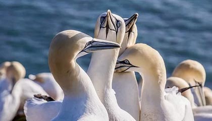 九游体育入口-国际热身赛中国青年队逆袭 球迷支持新人涌现，国家队热身赛进球算不算正式进球