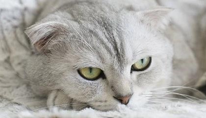 九游体育入口-国际热身赛中国青年队逆袭 球迷支持新人涌现，国家队热身赛进球算不算正式进球