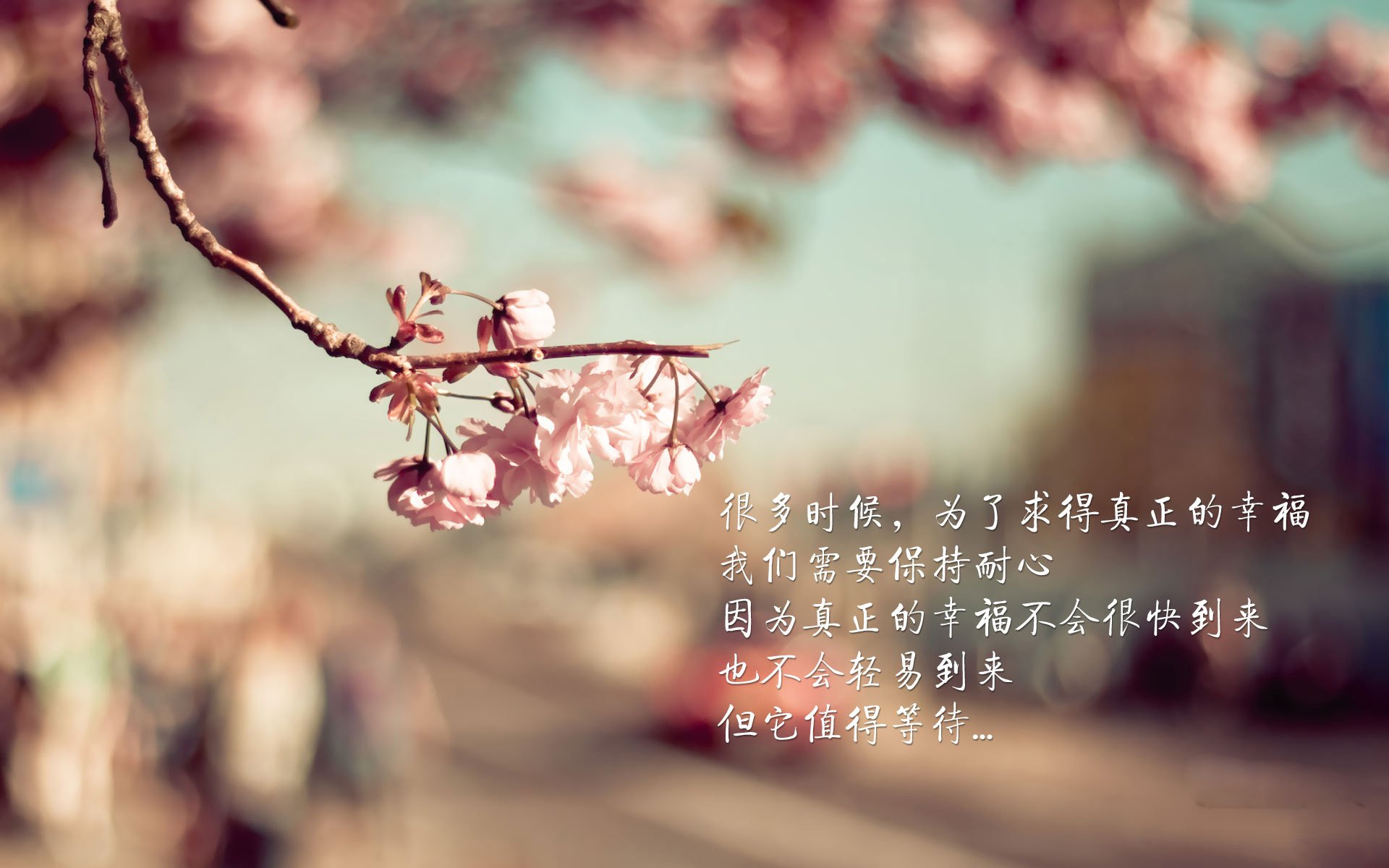 球场“坚若金刚”般的防线，让对手无计可施，球场如战场