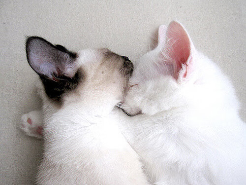 中国九游体育-篮球主题城市雕塑集结，展现运动魅力与城市风采，篮球的城市