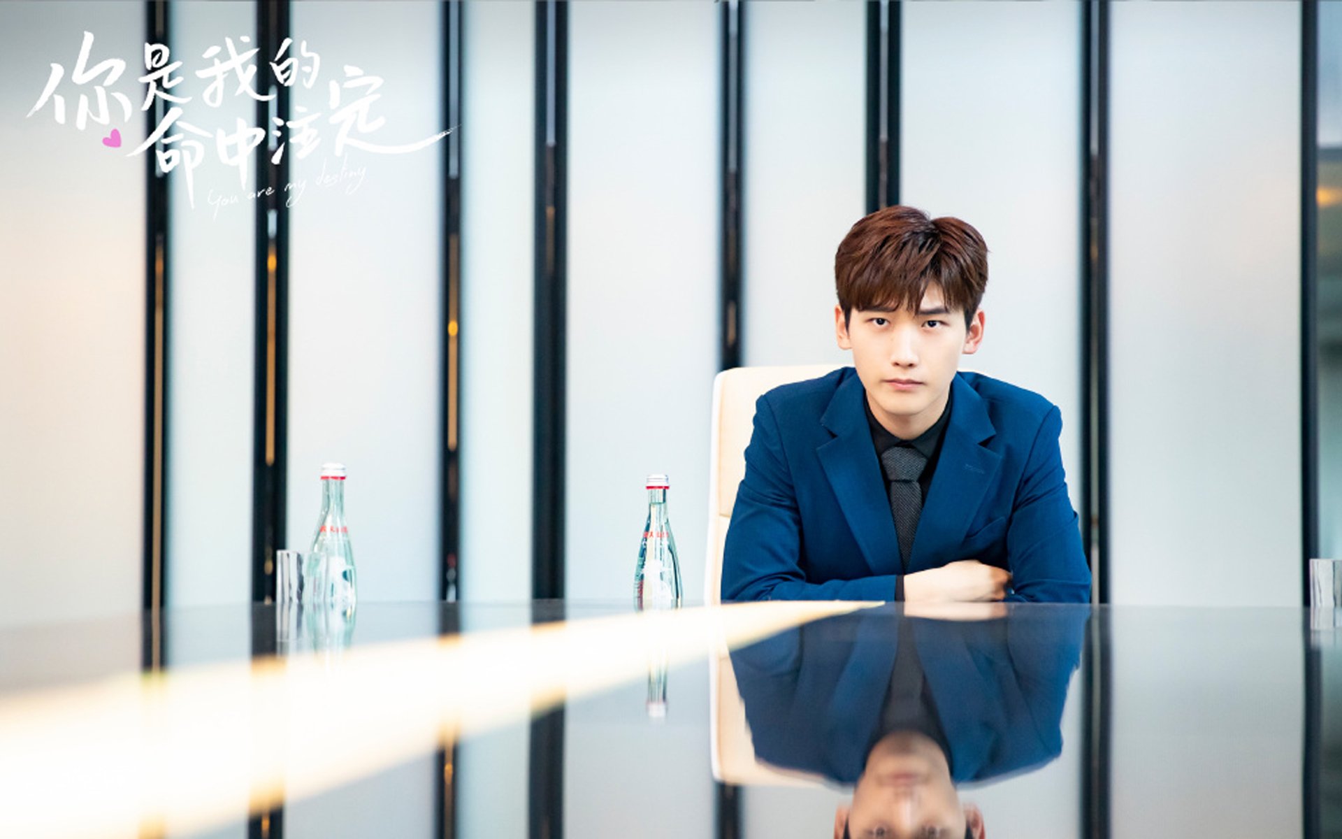 荣光时刻：伟大教练与球员的辉煌岁月