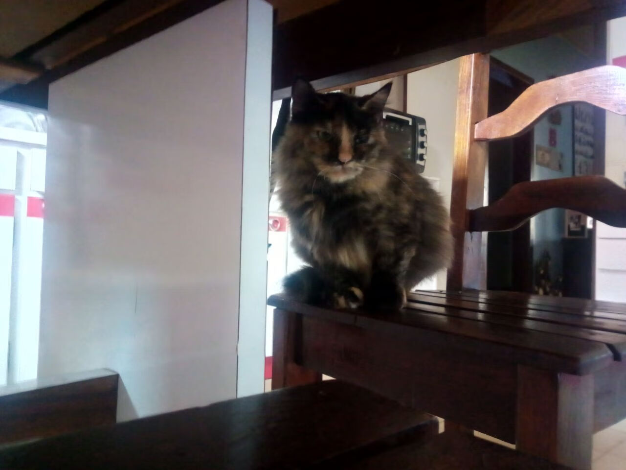 俄罗斯主帅大胆调整阵容，备战塞尔维亚，俄罗斯队主力