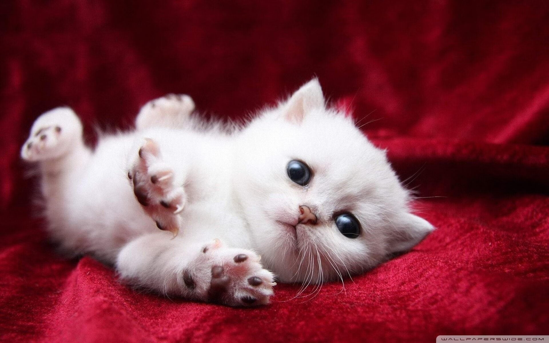 利物浦队客场战胜南安普敦队，豪取三分，利物浦vs南安普敦