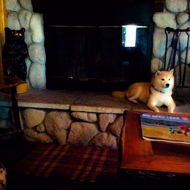 对手教练吐槽：塞内加尔球员雪地奔跑像猎豹，塞内加尔国家队百科