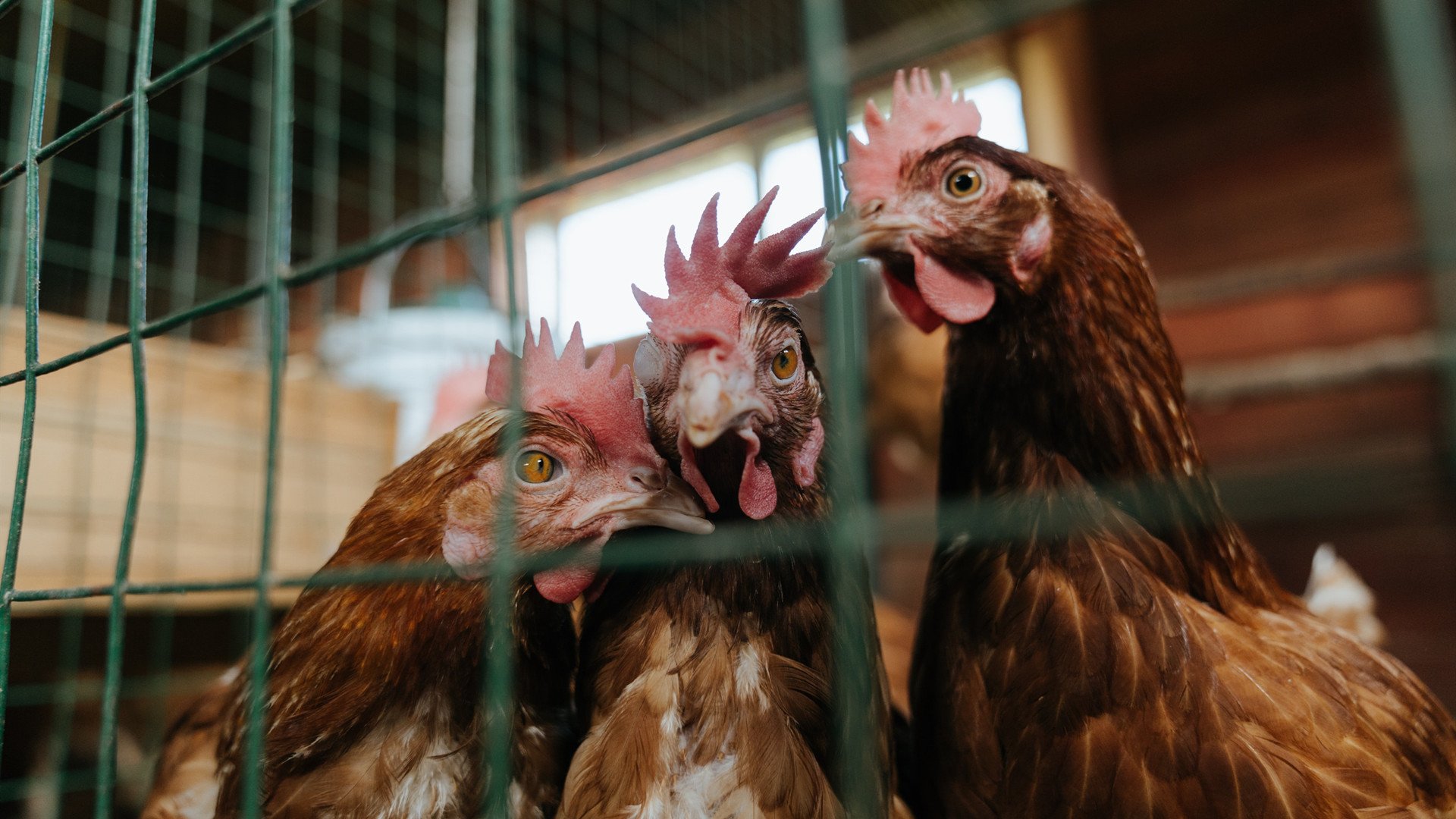 “热刺猛攻,阿仙奴坚守:香港赛场焦点对决”