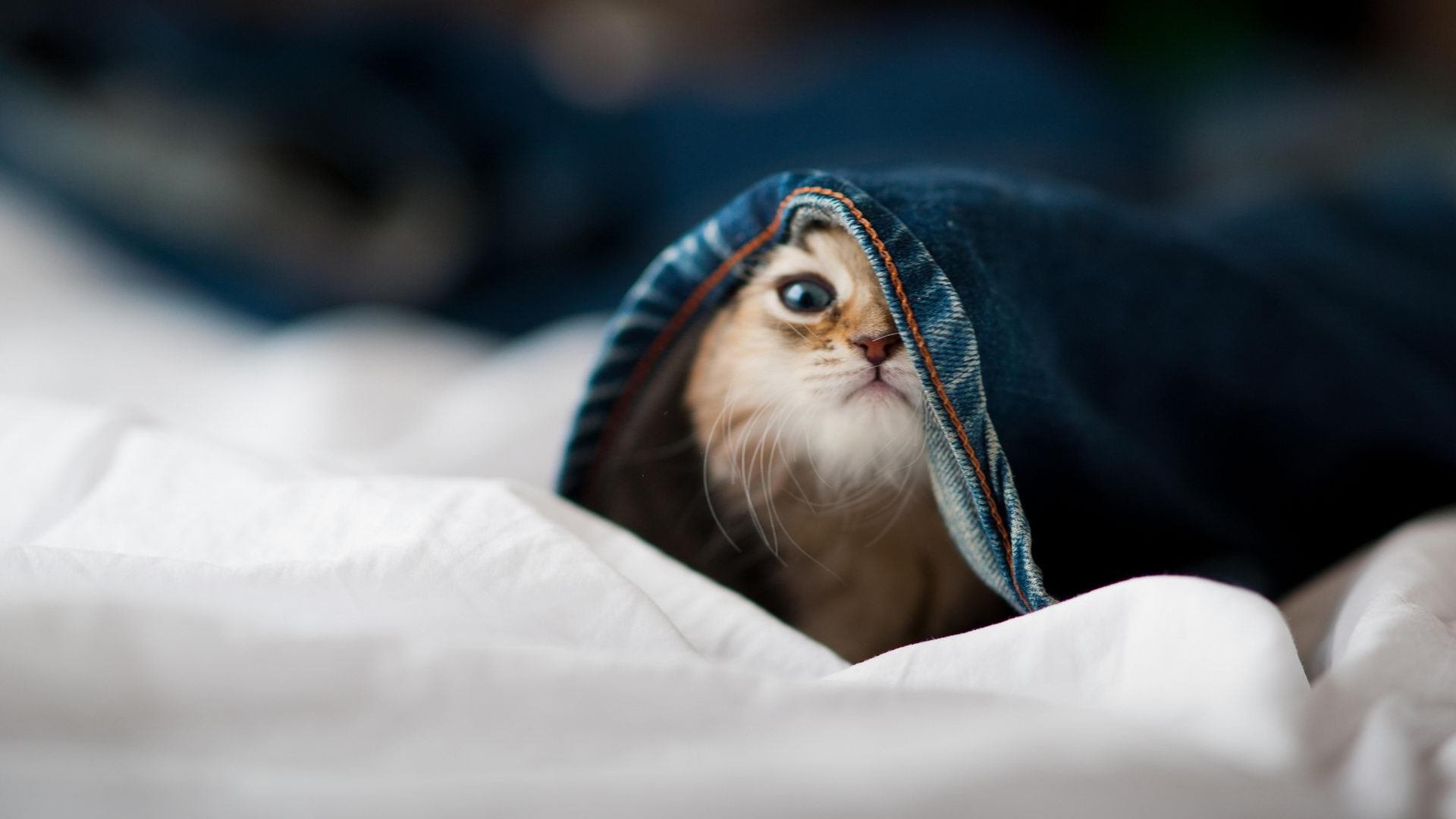 东亚杯中国足球爆冷 球迷呼吁改进训练，东亚杯中国足球爆冷 球迷呼吁改进训练