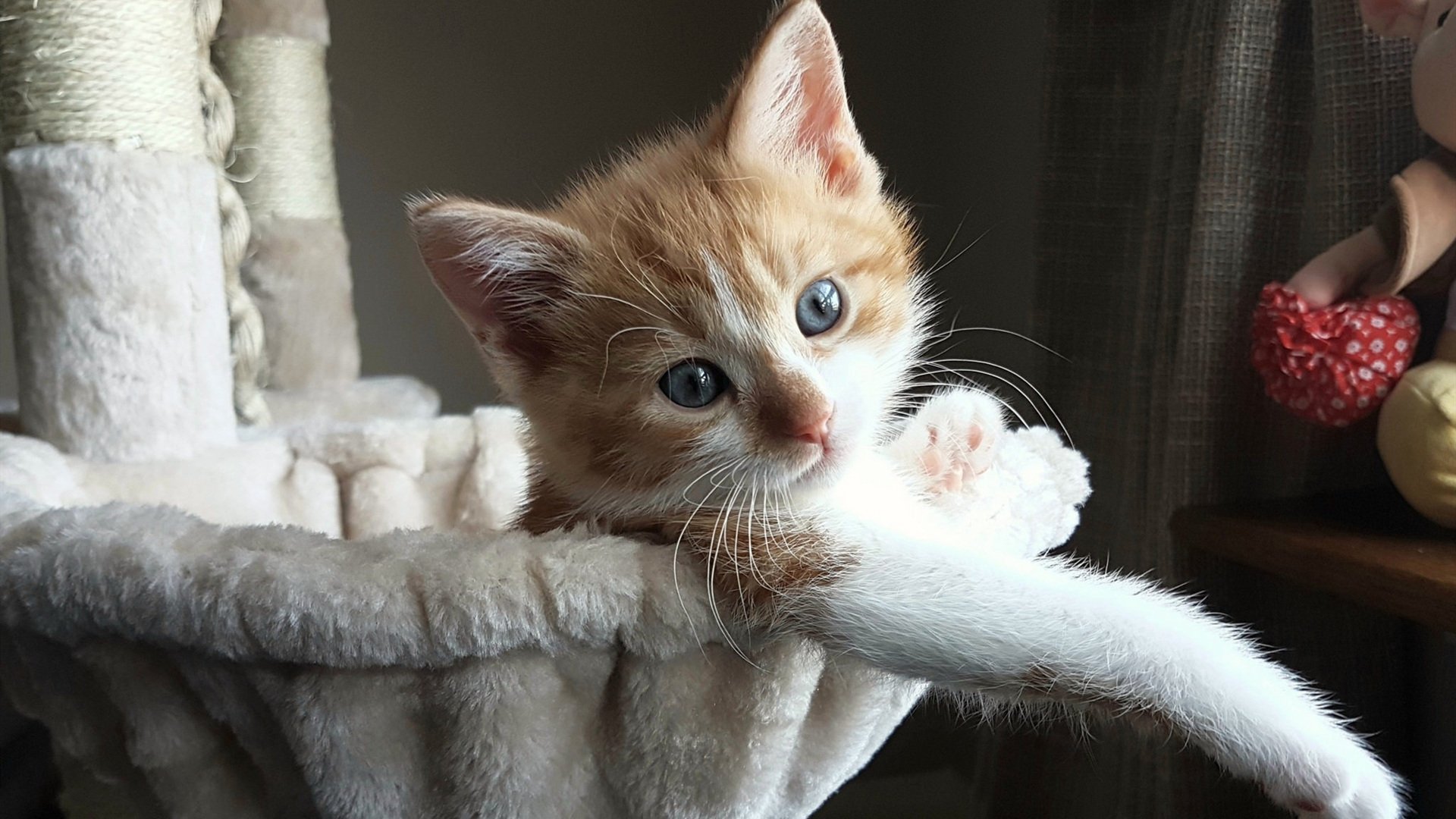 九游官方网站-中国三人篮球男队强化弱侧配合能力，中国男篮三人制