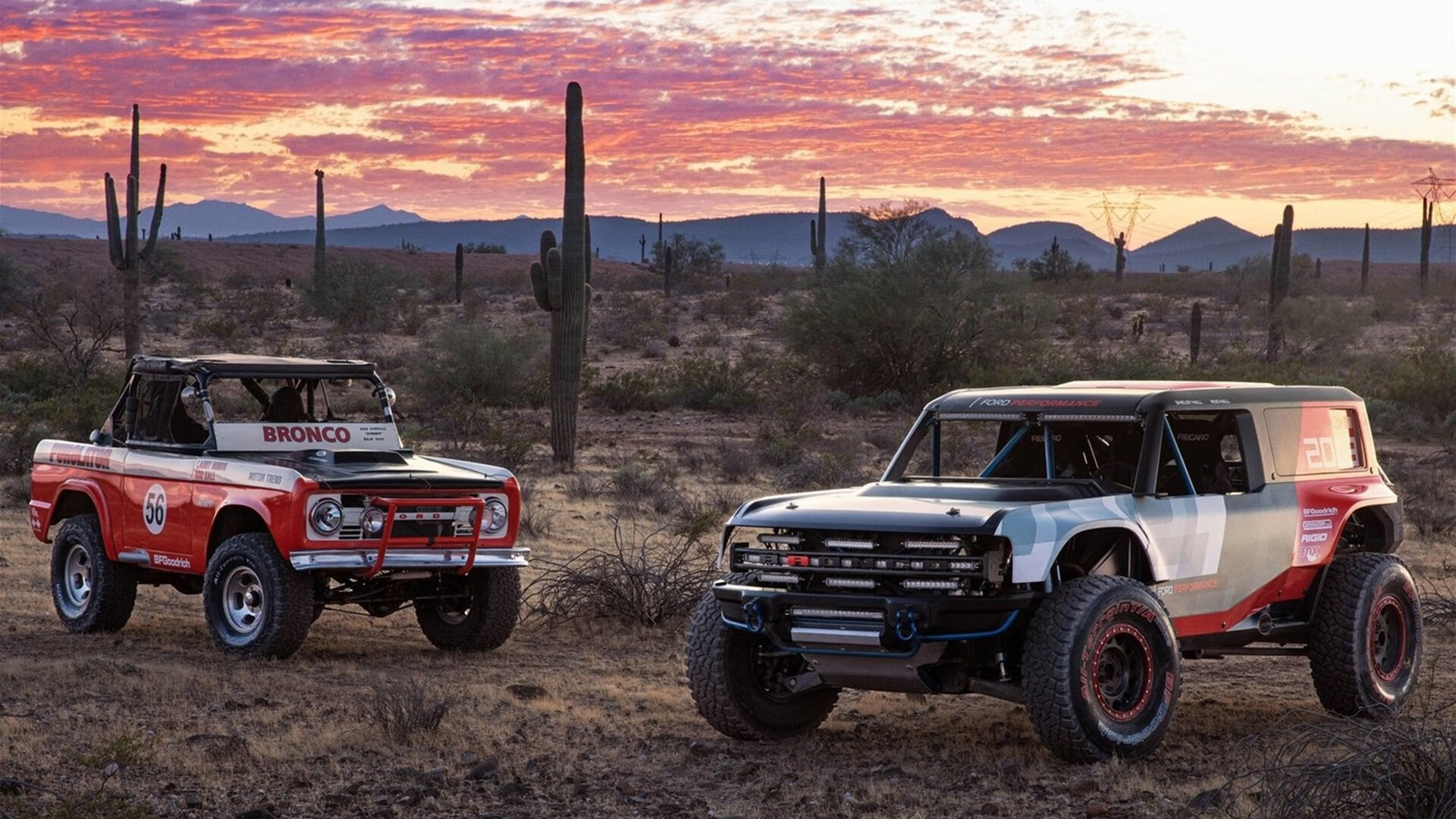 九游平台-加拿大男队自由泳实力持续提升，加拿大泳手